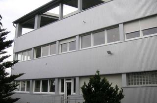 Büro zu mieten in 69469 Weinheim, Helle, schicke und unkomplizierte Büroräume in einem angenehmen Ambiente