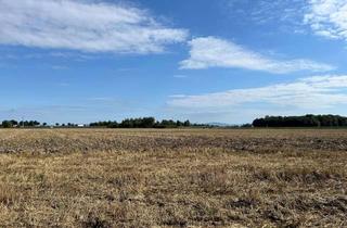 Immobilie kaufen in 94522 Wallersdorf, Landwirtschaftliche Fläche - Gemarkung Haidlfing