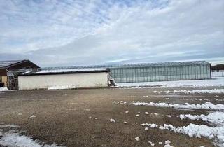 Immobilie kaufen in Remsharter Str. 50, 89331 Burgau, Gärtnerei in Burgau zu verkaufen oder vermieten