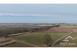 Gewerbeimmobilie kaufen in 86931 Prittriching, Grünlandfläche in Prittriching – Ortsteil Winkl- Kreuzäcker