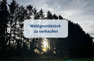 Gewerbeimmobilie kaufen in 86513 Ursberg, Waldgrundstück "Haldenberg" in Mindelzell zu verkaufen! BIETERVERFAHREN