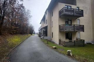 Wohnung kaufen in 94034 Grubweg, 1-Zimmer-Appartement mit großzügigem Speicher und Balkon mit Fernblick