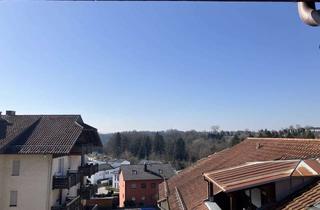 Wohnung kaufen in 94034 Grubweg, Renovierungsbedürftiges 1-Zimmer-Appart. mit großem Speicher