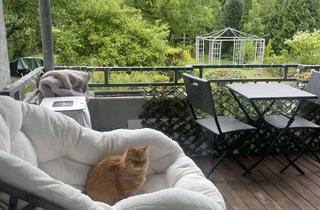 Wohnung mieten in Auf Der Böck 47, 40221 Hamm, Strandnähe! Lichtdurchflutete Wohnung mit Südbalkon und EBK