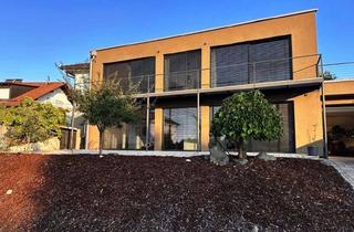 Lofts mieten in 86559 Adelzhausen, Ein Wohntraum auf 103qm! Terrassen/Loftwohnung im Neubau in Adelzhausen