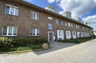 Wohnung mieten in Mittelfeld 60, 06886 Lutherstadt Wittenberg, 4-Raum Wohnung über zwei Etagen in ruhiger Lage