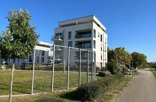 Penthouse mieten in Stichstraße 44, 71069 Sindelfingen, Exklusive Penthouse-Wohnung mit EBK und 60qm Dachterasse