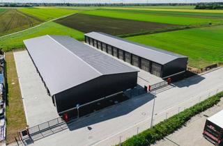 Lager mieten in Trentiner Ring 20, 86356 Neusäß, XXL GARAGE LAGERHALLE ZUM MIETEN NEUBAU 55 QM - TOP AUSSTATTUNG & LAGE