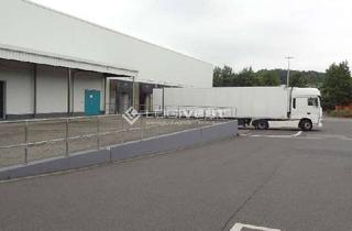 Gewerbeimmobilie mieten in 38667 Bad Harzburg, Gewerbehalle mit Hochregal und Kühllagerflächen nahe der Autobahn A36!