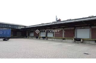 Gewerbeimmobilie mieten in 01259 Großzschachwitz, Gepflegte Lager- und Produktionshalle im Dresdner Süden mit guter Anbindung zur A17!