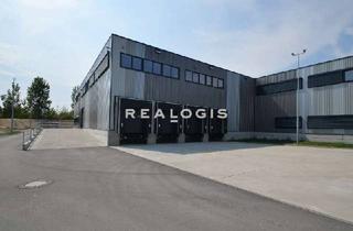 Gewerbeimmobilie mieten in 68535 Edingen-Neckarhausen, Provisionsfreier Neubau - 7,50 m UKB - Mieterwünsche realisierbar