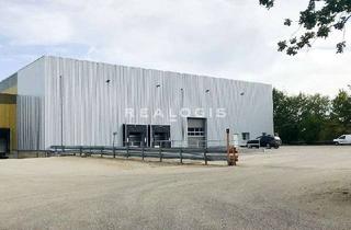 Gewerbeimmobilie mieten in 55299 Nackenheim, Neubau: Logistik/ Produktion - 7,00 m UKB - Rampe & ebenerdig