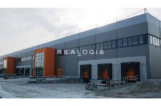 Gewerbeimmobilie mieten in 35510 Butzbach, Lager/ Logistik - 5x Rampe - 9,50 m UKB