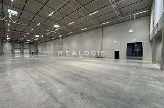 Gewerbeimmobilie mieten in 65479 Raunheim, Lager/ Logistik - Rampe & ebenerdig - 7,50 m UKB