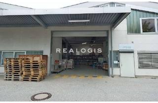 Gewerbeimmobilie mieten in 68623 Lampertheim, Lager/ Produktion - 6x ebenerdig - 4,20 - 9,70 m UKB - teilbar ab 1.500 m²