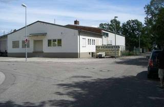 Gewerbeimmobilie mieten in Am Floßbach 11, 67112 Mutterstadt, Produktions / Lagerhalle