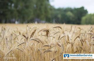 Anlageobjekt in 16816 Neuruppin, 7 ha landwirtschaftliche Flächen zu verkaufen