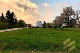 Grundstück zu kaufen in Johann-Wisrich-Str. 70a, 86450 Altenmünster, Platz für Träume & unverbauter Weitblick: Ihr 1.524 m² großes Natur-Refugium nahe Augsburg!