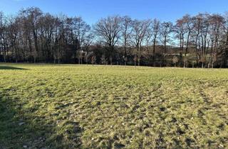 Gewerbeimmobilie kaufen in 32699 Extertal, Ihre Chance auf einen neuen Unternehmens-Standort