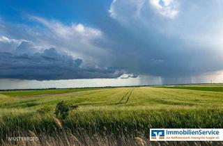 Gewerbeimmobilie kaufen in 16816 Neuruppin, 7 ha landwirtschaftliche Flächen zu verkaufen