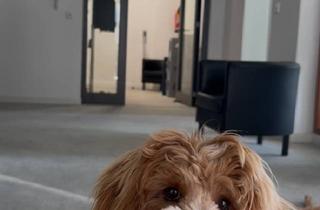 Büro zu mieten in 60311 Frankfurt, Raus aus dem Homeoffice? Komm in unsere Bürogemeinschaft!