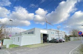 Gewerbeimmobilie kaufen in 55120 Mainz, Vielseitig nutzbare Gewerbehalle mit Krahnbahn, Waschplatz, Büros diverse Nebenflächen und Garagen.