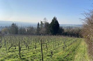 Grundstück zu kaufen in 65201 Wiesbaden, Traumhaftes Gartengrundstück mit Blick in die Weinberge