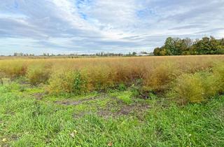 Grundstück zu kaufen in 64291 Darmstadt, Landwirtschaftliche Fläche am Gewerbegebiet in Darmstadt-Arheilgen