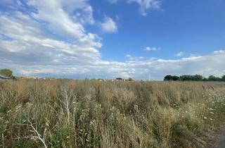 Grundstück zu kaufen in 67586 Hillesheim, Bauplatz für Doppelhaushälften in Hillesheim