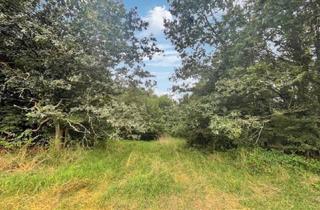 Garagen kaufen in 66869 Kusel, Baubeginn sofort möglich: hochinteressantes, erschlossenes Grundstück in ruhiger Lage von Kusel