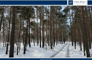 Garagen kaufen in 15806 Zossen, Großes Grundstück im Außenbereich - Chance für Investoren mit Weitblick