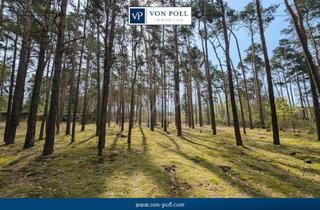 Garagen kaufen in 15806 Zossen, Großes Grundstück im Außenbereich - Chance für Investoren mit Weitblick