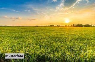 landwirtschaftliche Fläche kaufen in 25725 Schafstedt, 2 Landwirtschaftsflächen