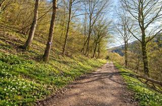 Immobilie kaufen in Auf Der Au 45, 56132 Dausenau, Traumgrundstück in sonniger Randlage von Dausenau