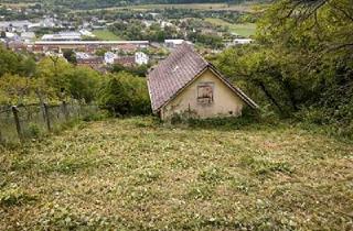 Grundstück zu kaufen in 72076 Tübingen, Tübingen - BLICK ÜBER TÜBINGEN