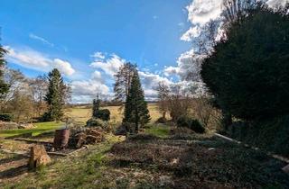 Doppelhaushälfte kaufen in 55483 Dickenschied, Dickenschied - Haus mit Ausbaureserve in Unzenberg