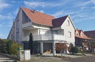 Haus kaufen in 76768 Berg, Berg (Pfalz) - Haus Elsass Munchhausen Lauterbourg Lauterburg