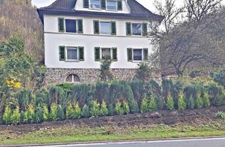 Haus kaufen in 58791 Werdohl, Werdohl - Idyllisches Zweifamilienhaus mit Dachgeschosswohnung (Alleinlage)