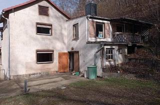 Einfamilienhaus kaufen in 06456 Sandersleben, Arnstein - Einfamilienhaus in Stangerode
