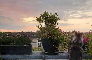 Penthouse kaufen in 51469 Bergisch Gladbach, PENTHOUSE - STADTLAGE - ZWEI SONNIGEN DACH-TERRASSEN! + freier 1 Zimmer-Wohnung in Stadtlage