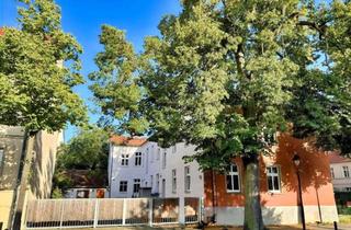 Wohnung kaufen in 14482 Babelsberg Nord, Liebevoll sanierte Altbauwohnung am Park Babelsberg – Wohnen in einer der schönsten Lagen Potsdams