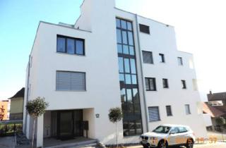 Wohnung mieten in 79730 Murg, Modern und hell - 3,5 Zimmerwohnung in Murg zentral