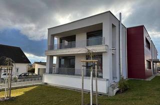 Wohnung mieten in Bergstr 48, 89177 Ballendorf, Moderne Wohnung mit viel Licht, Einbauküche und Tiefgarage