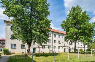 Wohnung mieten in Overbeckstr. 25b, 01139 Mickten, Schöner Wohnen: individuelles 1-Zimmer-Appartment