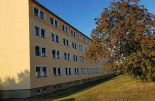 Wohnung mieten in Ernst-Thälmann-Str. 10, 08496 Neumark, Komplett modernisierte 2-Raum-WE Neumark