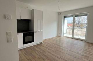 Wohnung mieten in Theodor-Mathieu-Straße 14, 96052 Bamberg, ** einen Monat mietfrei wohnen** *TOP* Schöne 1-Zimmer Wohnung mit Küche, Dachterasse und Stellplatz