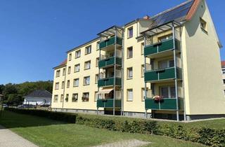 Wohnung mieten in Tribseeser Straße 24d, 18507 Grimmen, Schöne, helle 3-Zimmer-Wohnung in Grimmen