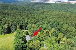 Gewerbeimmobilie kaufen in Waldhaus Nr., 07987 Mohlsdorf, Gebäudekomplex bestehend aus ehemaliger Gaststätte und 2 ehemaligen Lehrlingswohnheimen Mohlsdorf-Te