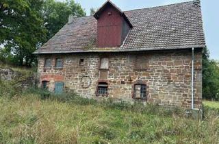 Haus kaufen in Steinmühle, 34474 Diemelstadt, Mühlenensemble in ländlicher Idylle