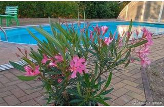 Haus kaufen in 01623 Lommatzsch, Romantischer Zwei-Seitenhof mit Pool, Scheune und großem Grundstück in traumhafter Idylle